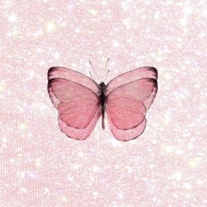 Meet your Posher, Tabatha